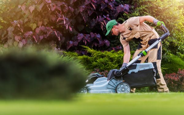 Lawn Care And Maintenance in Mcdonough