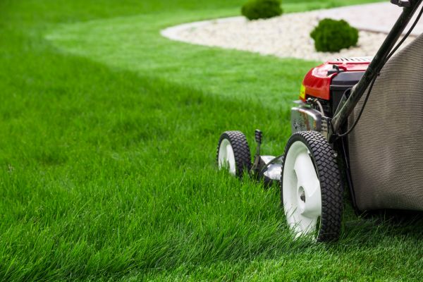 Lawn Cutting Service in Mcdonough