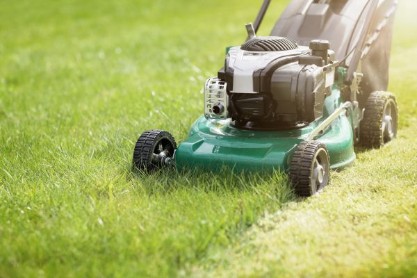 Yard Cutting in Mcdonough