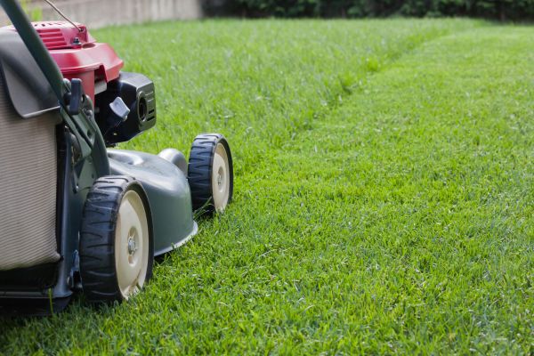 Residential Lawn Care in Mcdonough
