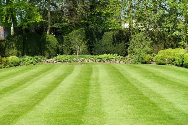 Grass Care Service in Mcdonough