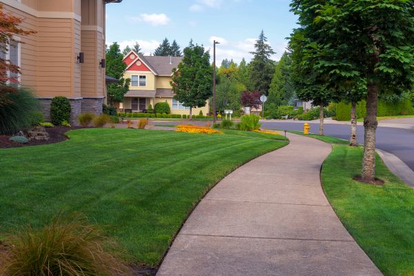 Home Lawn Maintenance in Mcdonough