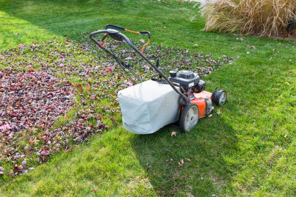 Seasonal Lawn Care in Mcdonough