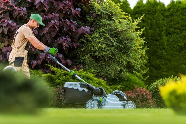 Lawn Management in Mcdonough