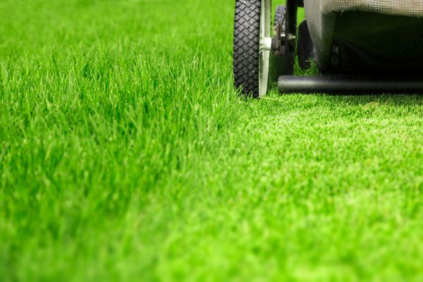 Weekly Lawn Care in Mcdonough