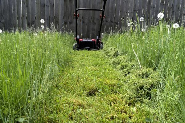 High Grass Mowing in Mcdonough