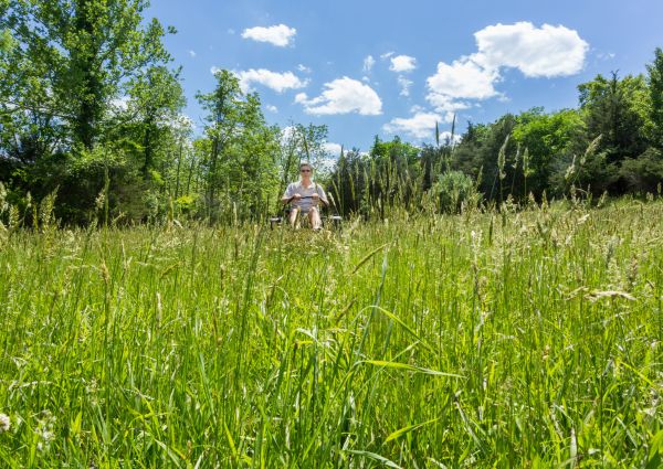Long Grass Mowing in Mcdonough