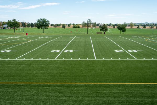Groundskeeping Service in Mcdonough
