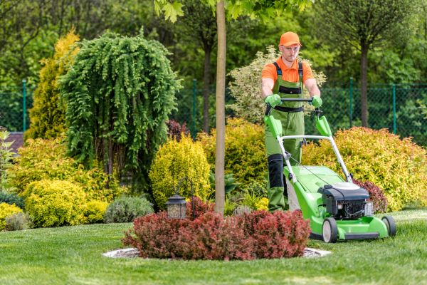 Commercial Yard Maintenance in Mcdonough
