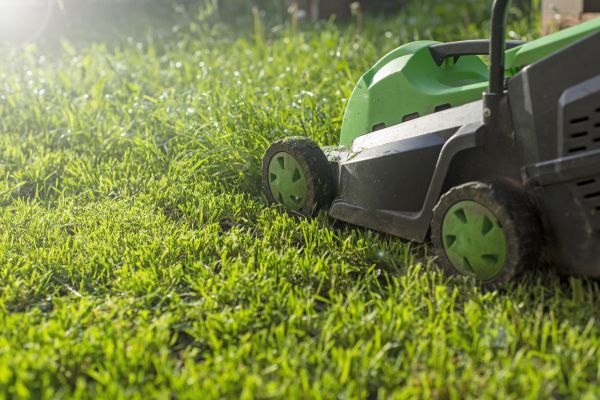 Residential Lawn Maintenance in Mcdonough