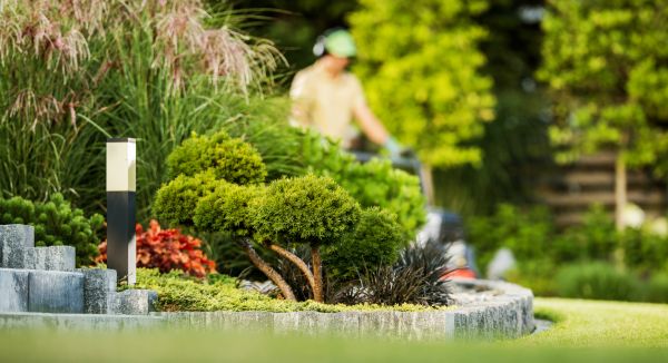 Residential Yard Maintenance in Mcdonough