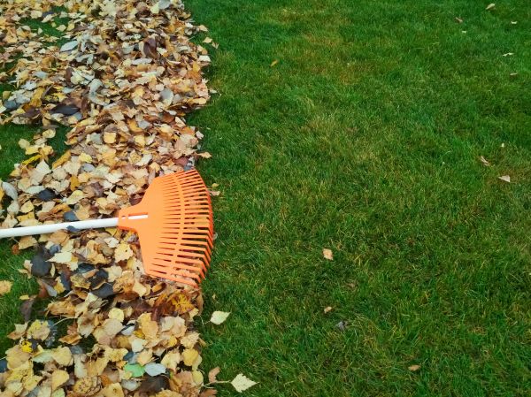Fall Lawn Care in Mcdonough