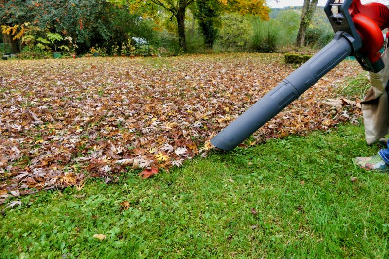 Fall Lawn Cleanup Equipment