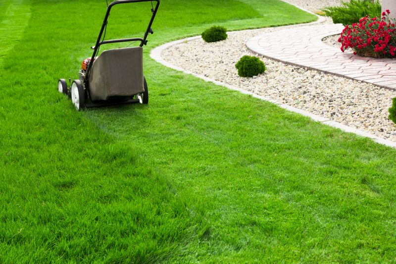Consistent Lawn Maintenance